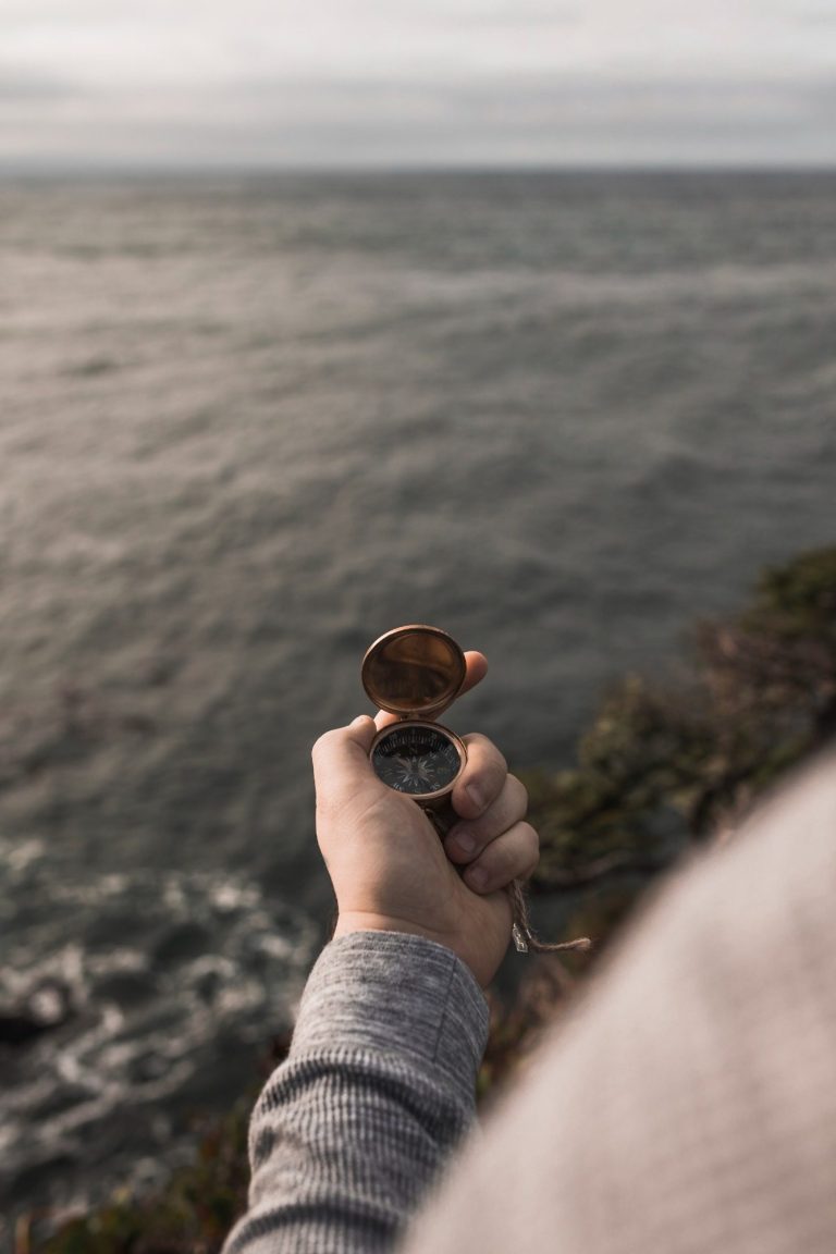 Hand holding a compass overlooking a coastal view with waves and rocky shore.